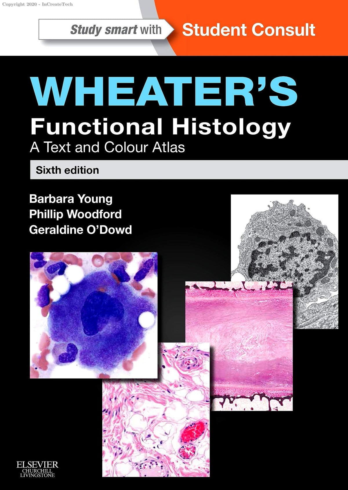 WHEATER,S FUNCTIONAL HISTOLOGY A TEXT AND ATLAS